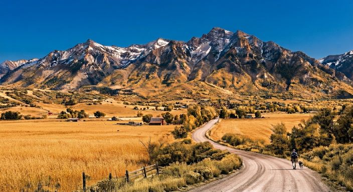 Summer in Cache Valley: the Wellsville Mountains under a deep blue sky above golden grass fields and sun-dried hillsides, with barns, green trees, and a person walking a dog down the winding dirt road.